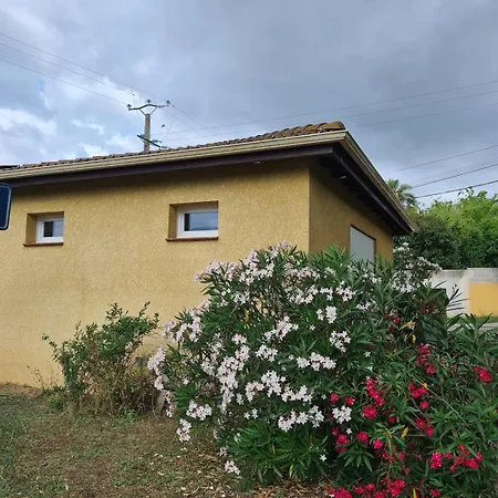 Casa Ghjadda - Ombrage Avec Acces Piscine - 木屋 *