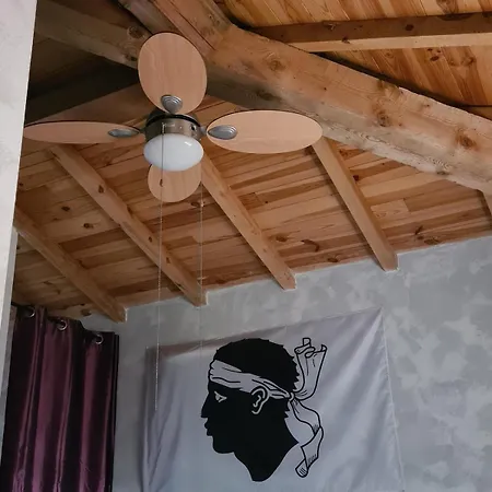 Casa Ghjadda - Ombrage Avec Acces Piscine - Horská chata Appietto