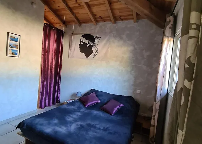 Casa Ghjadda - Ombrage Avec Acces Piscine - Alpehytte