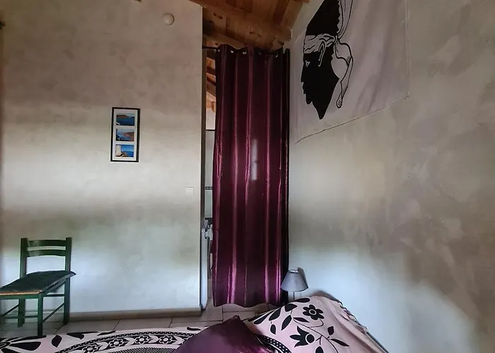 Alpehytte Casa Ghjadda - Ombrage Avec Acces Piscine - *
